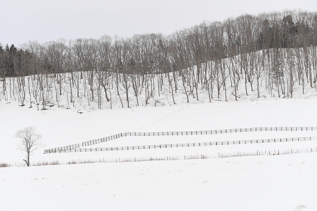 Lines and Fences in Hokkaido