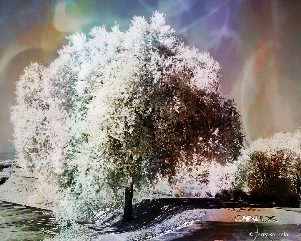 Infrared Tree