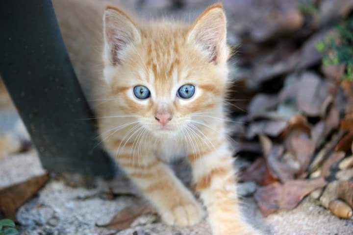 Did you call me?