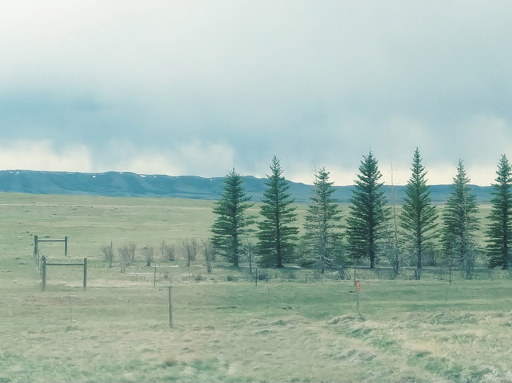 Driving back from Oregon -2