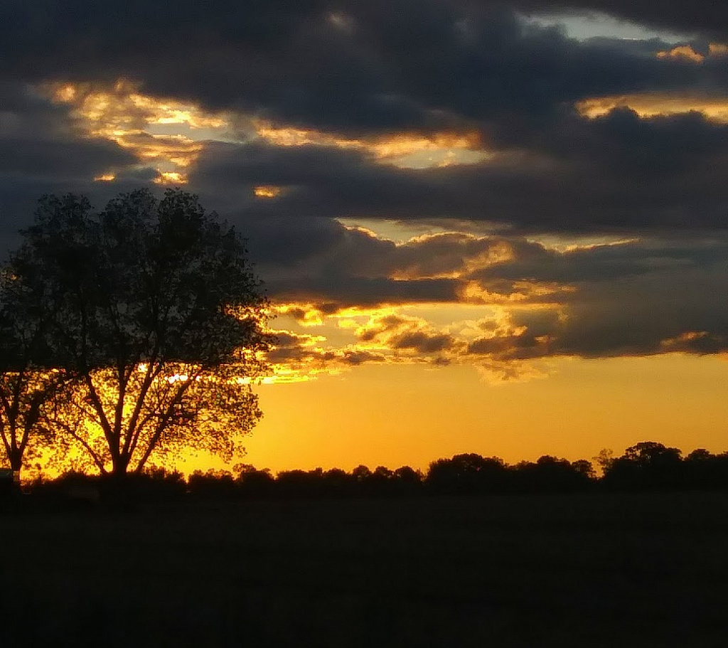 Sunset over Northwest Florida farm