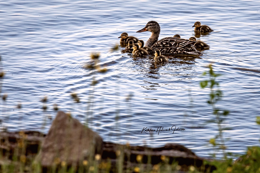 Under The Watchful Eye of Mother!