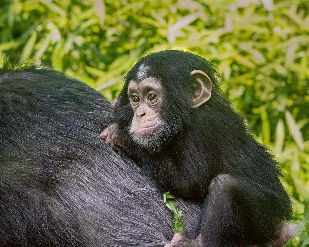 Hangin' on Mom