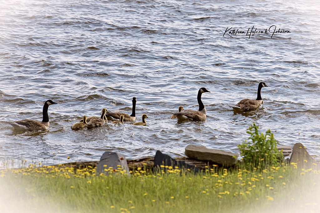 Lazy Days On The Water!