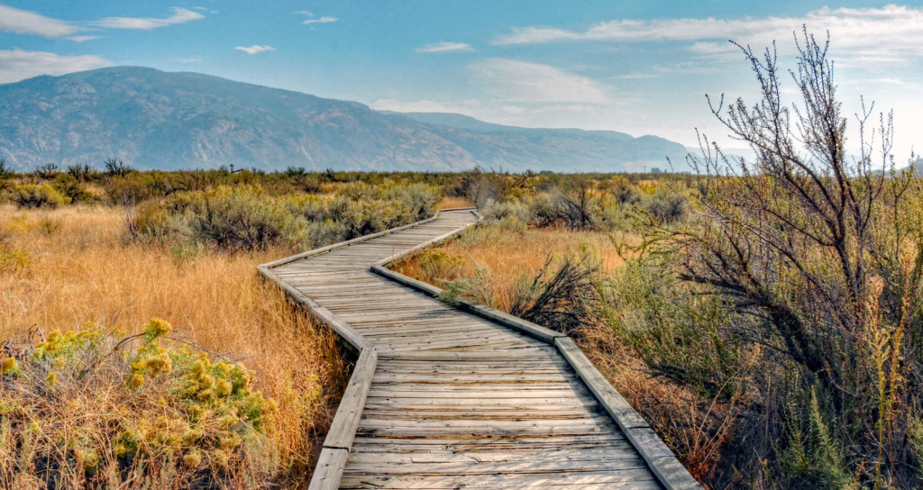 Boardwalk