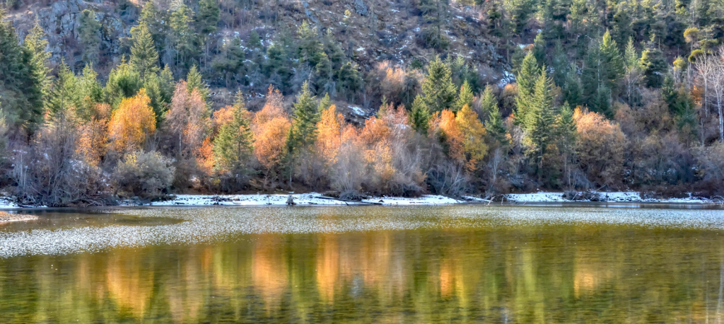 Fall Reflections