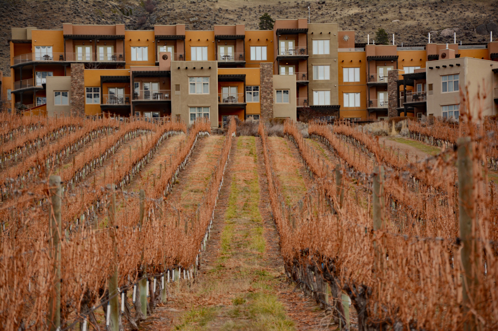 Hotel Vineyard