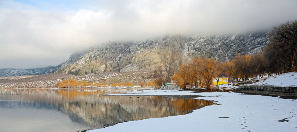 Snowy Shoreline