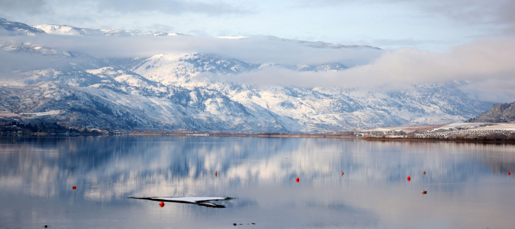 Snowy Reflections
