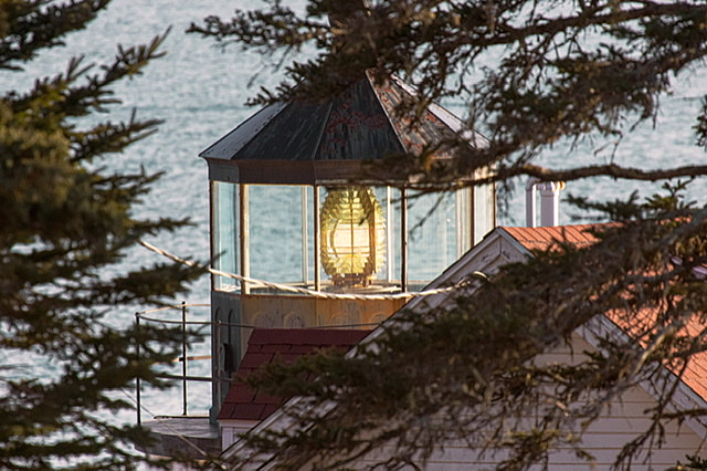 A Beacon of Hope!