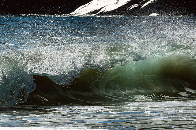 Chasing The Wave!