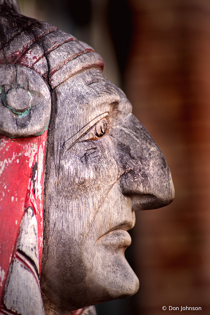 Cigar Store Indian 1-30-20 037