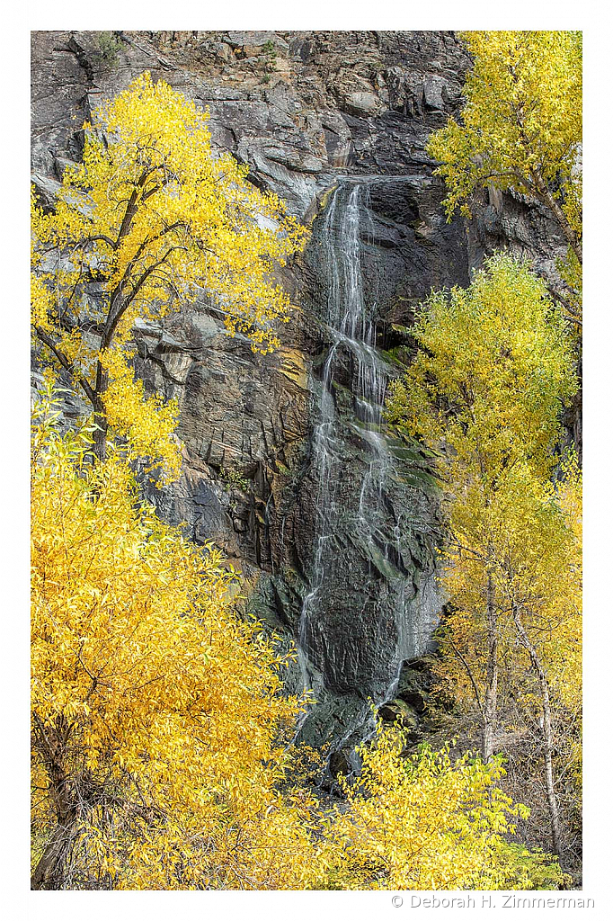 Bridal Veil Falls at the Peak of Color