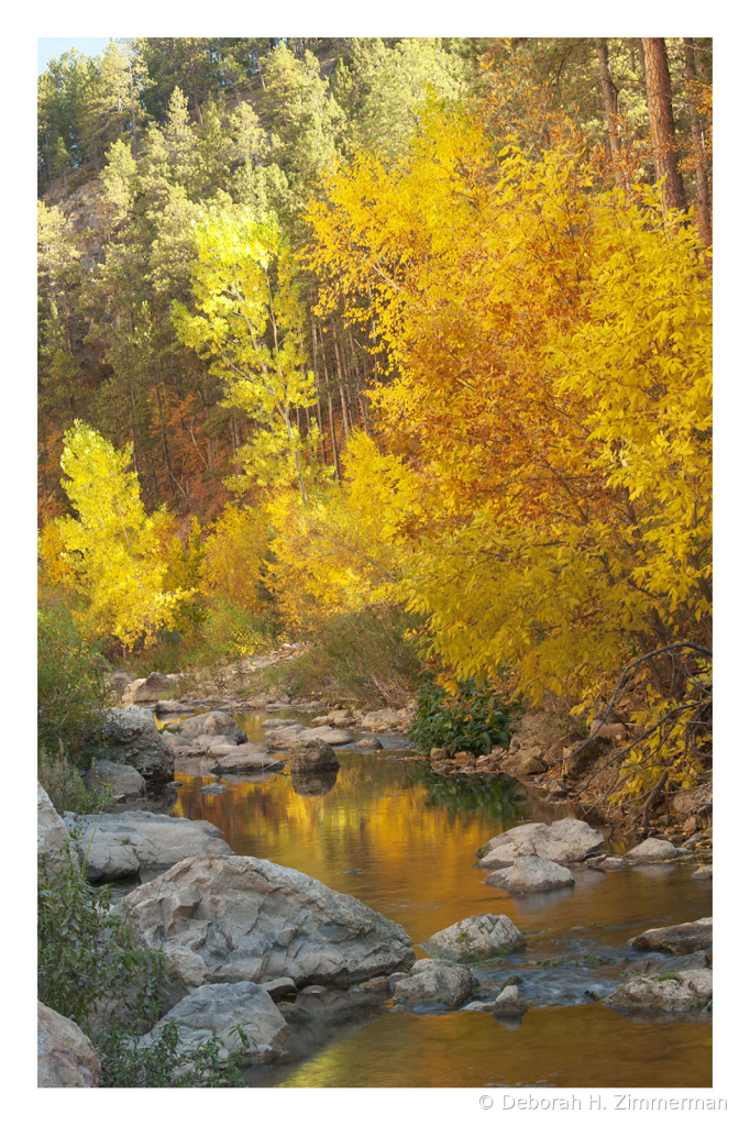 Golden Reflections in Boulder Canyon