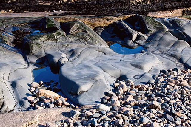 Elements of Design - Mother Nature Does it Best!