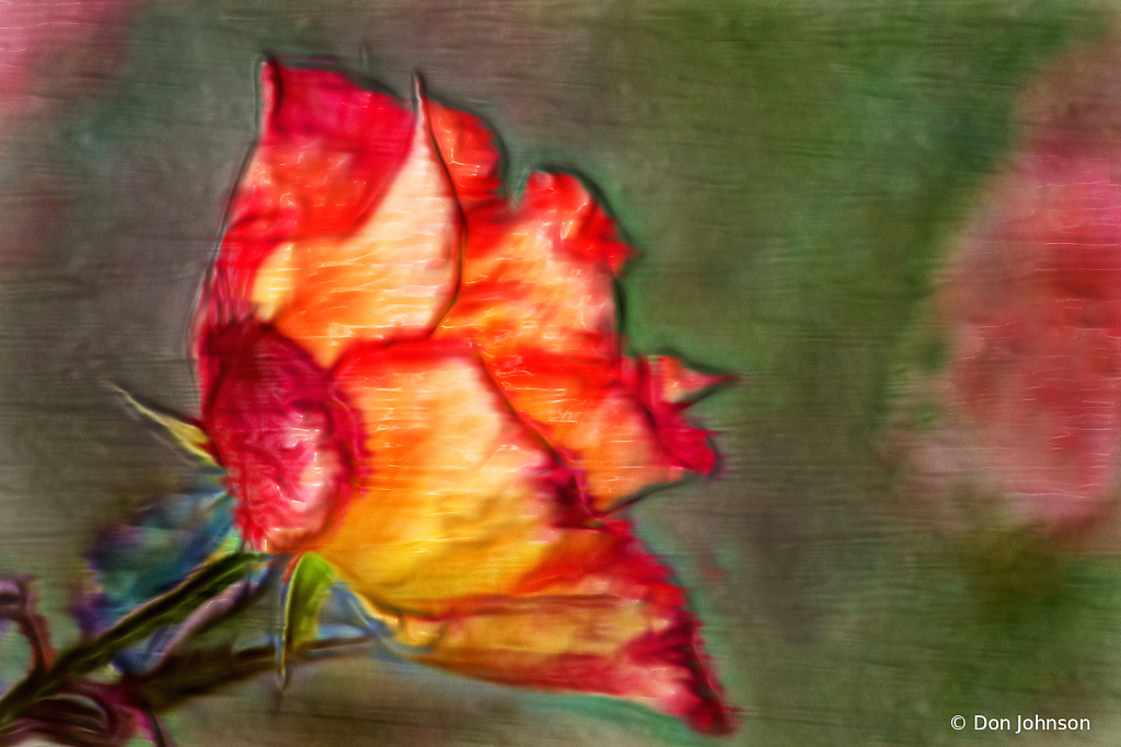 Artistic Fall Rose 10-9-20 101