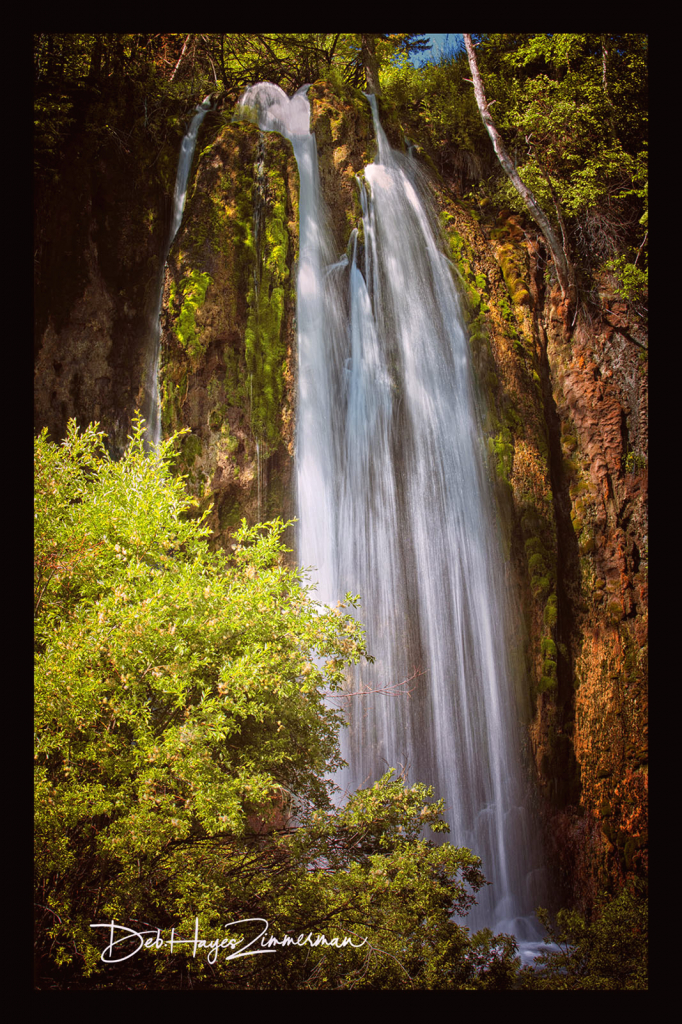 Spring's Popping up at Lil Spearfish Falls