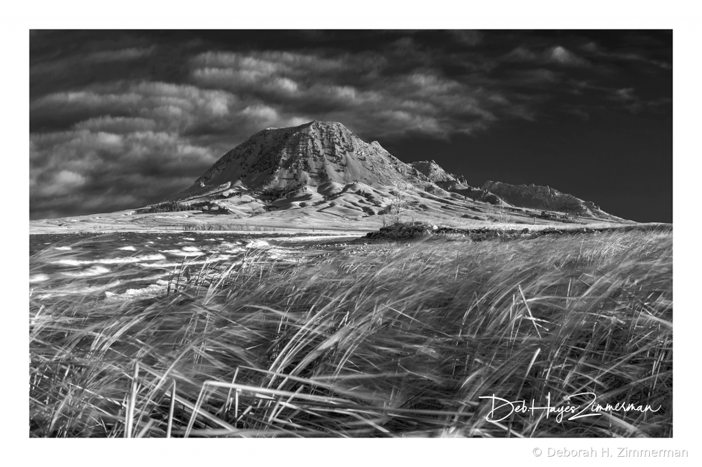 Bear Butte Unmoved by the Winds of TIme