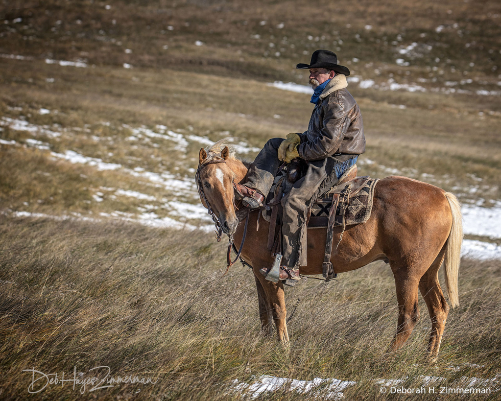 SO at Home on the Range