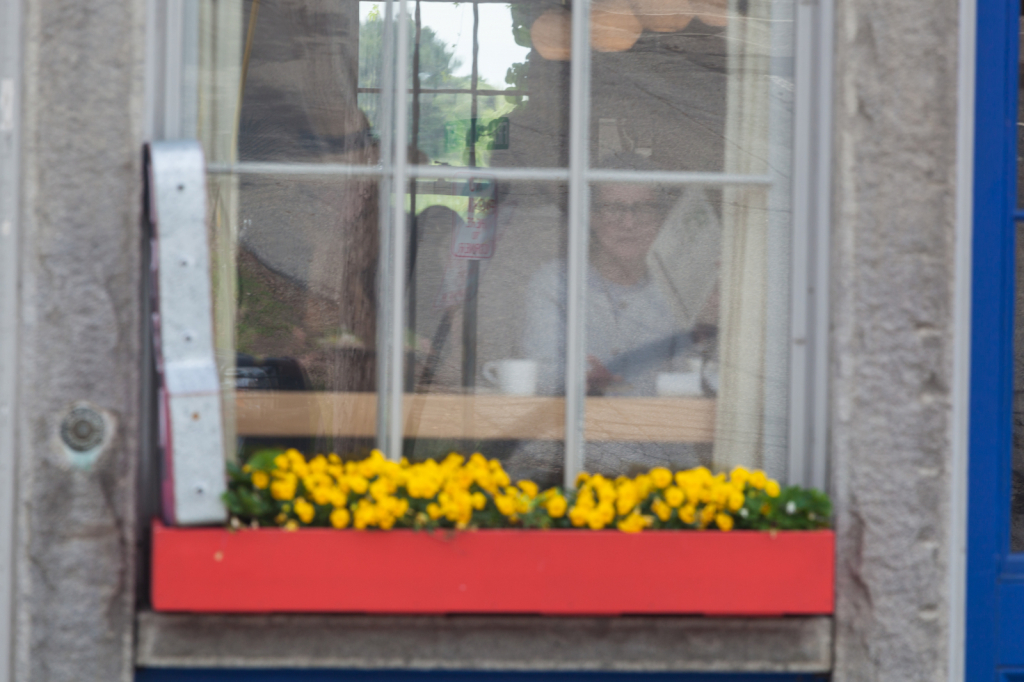 Reflections in a Window