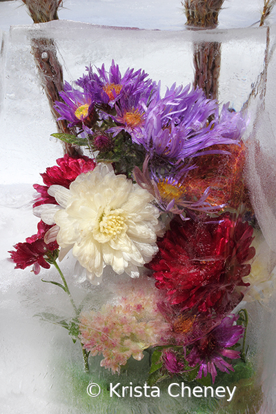 Autumn medley in ice I