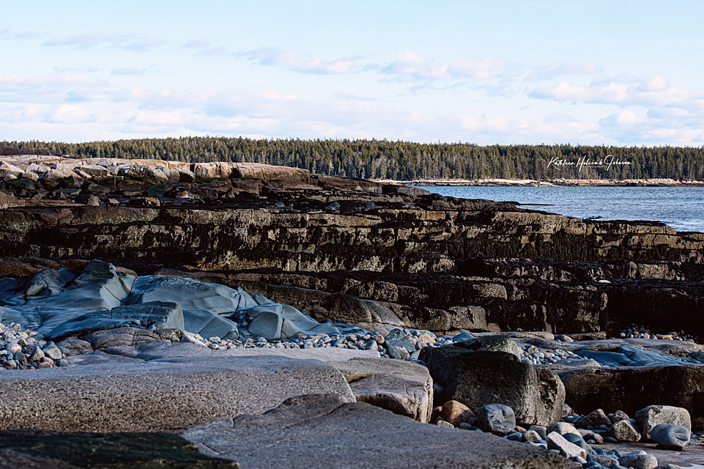 Low Tide - Winter Harbor!