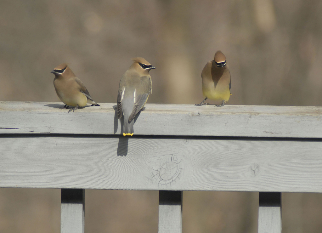 Meeting of the Minds