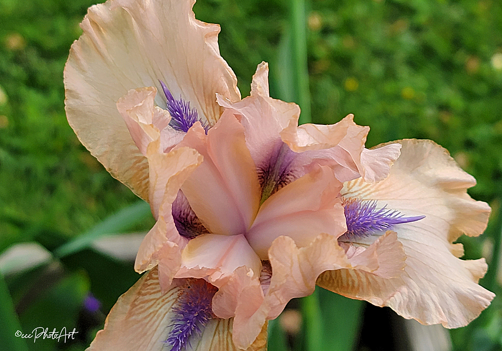 68
