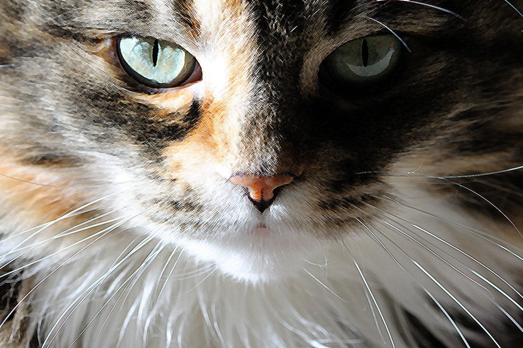 Green Eyes