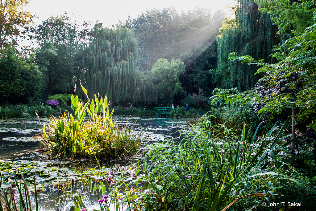 Morning Light Illuminates Giverny Gardens