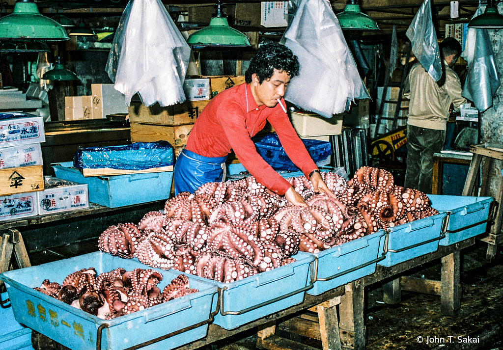 Sorting Octopus by Size and Quality