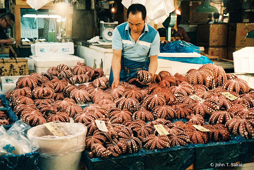 Octopus for Early Morning Buyers