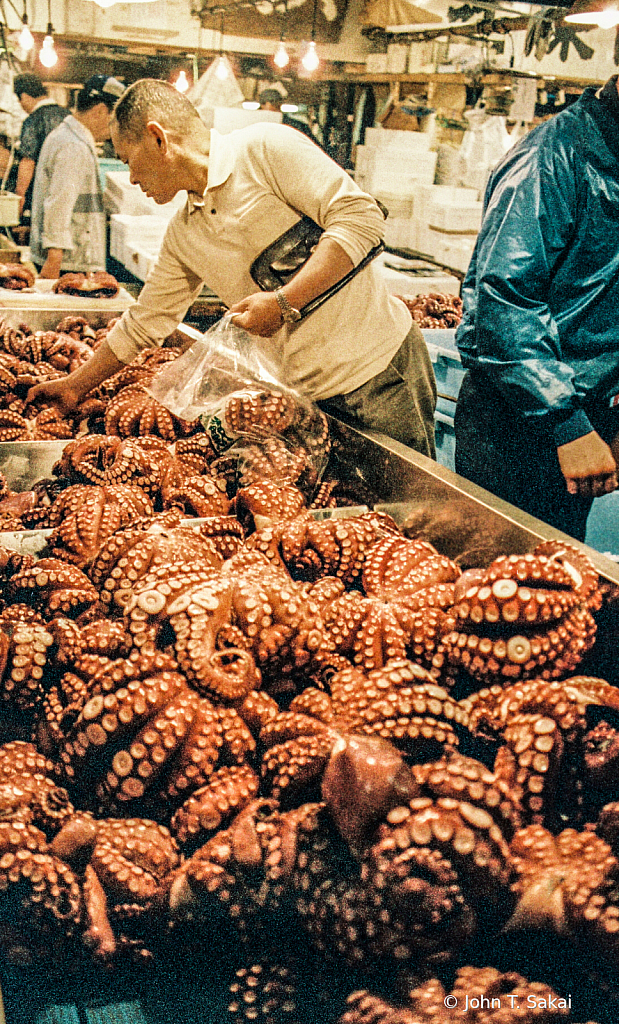 Selecting Prime Octopus
