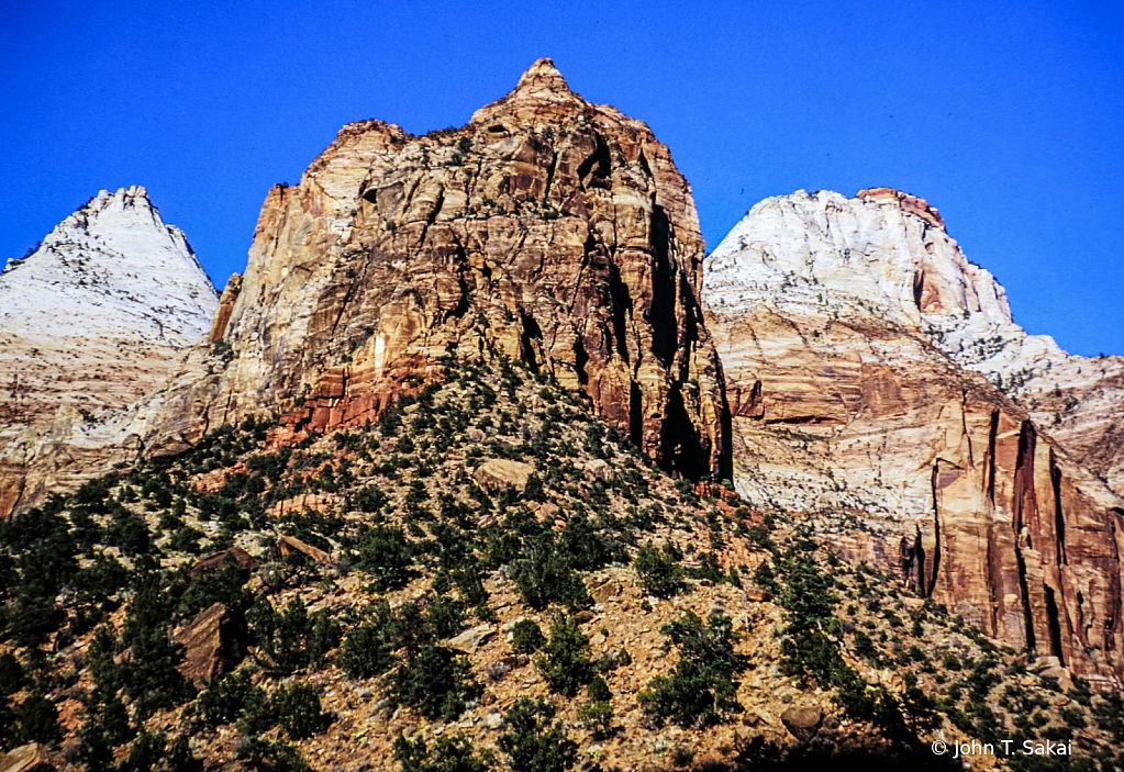 Zion National Park Views