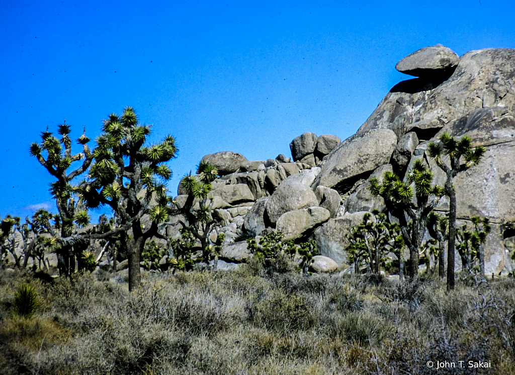 Rocks and Boulders