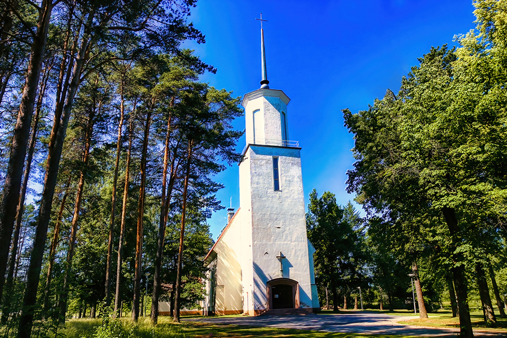 Faith in The Forest