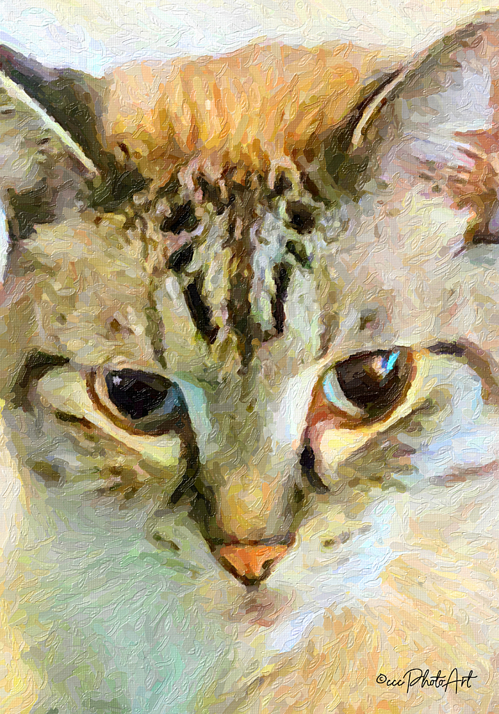 24