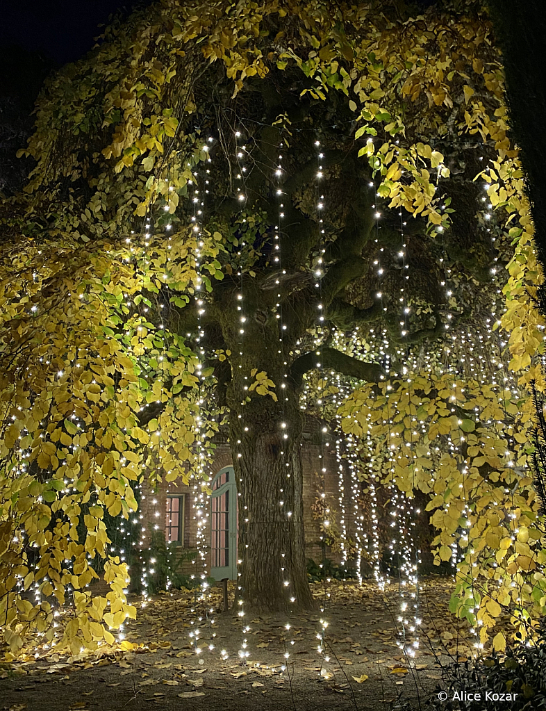 Majestic gold leaves and "pearl" lights