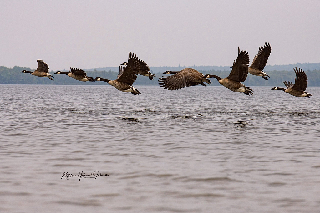 Take Off - From A Kayaks View!