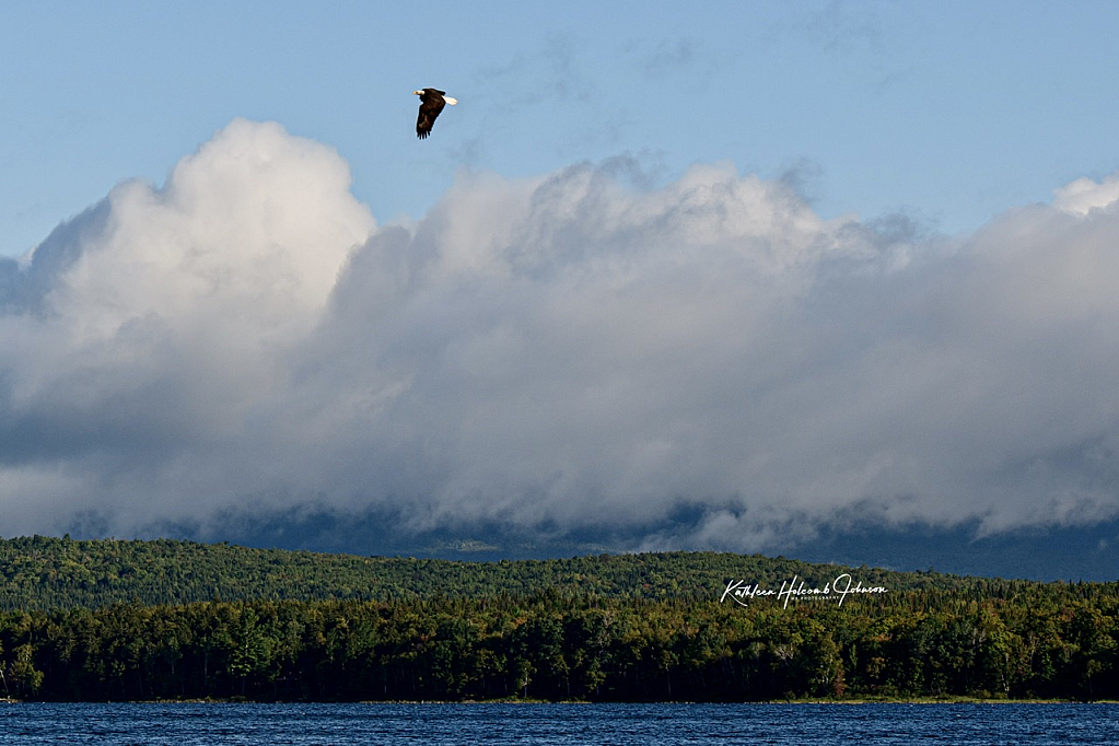The Eagle Soars! “Least We Forget” 911
