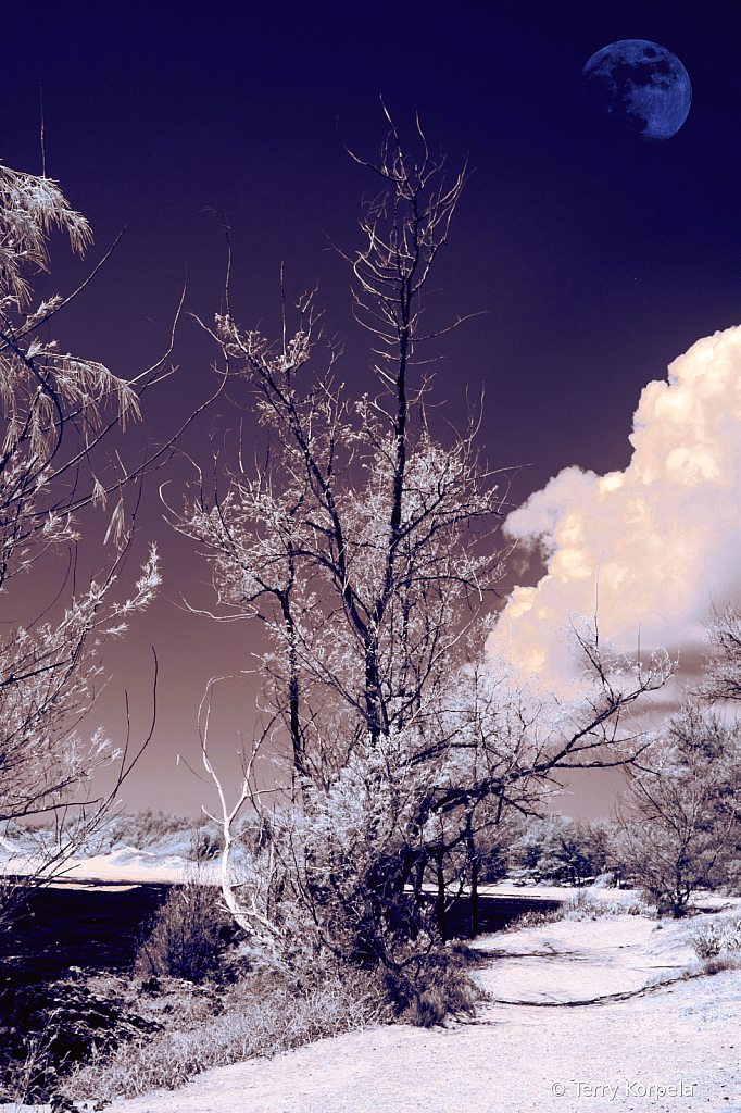 Beach in Kauai (Infrared)