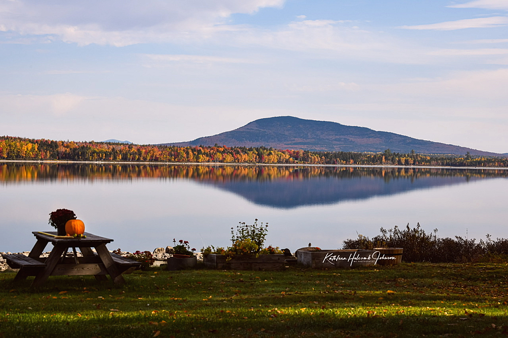 You Can Here The Silence - Calms Your Soul!