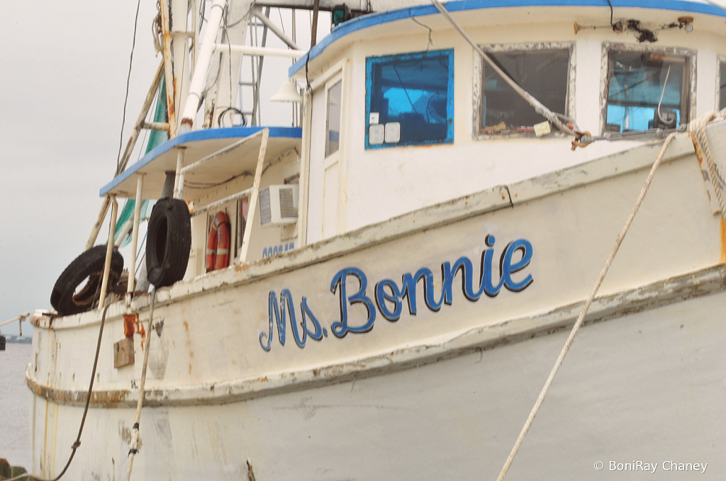 Ms Bonnie