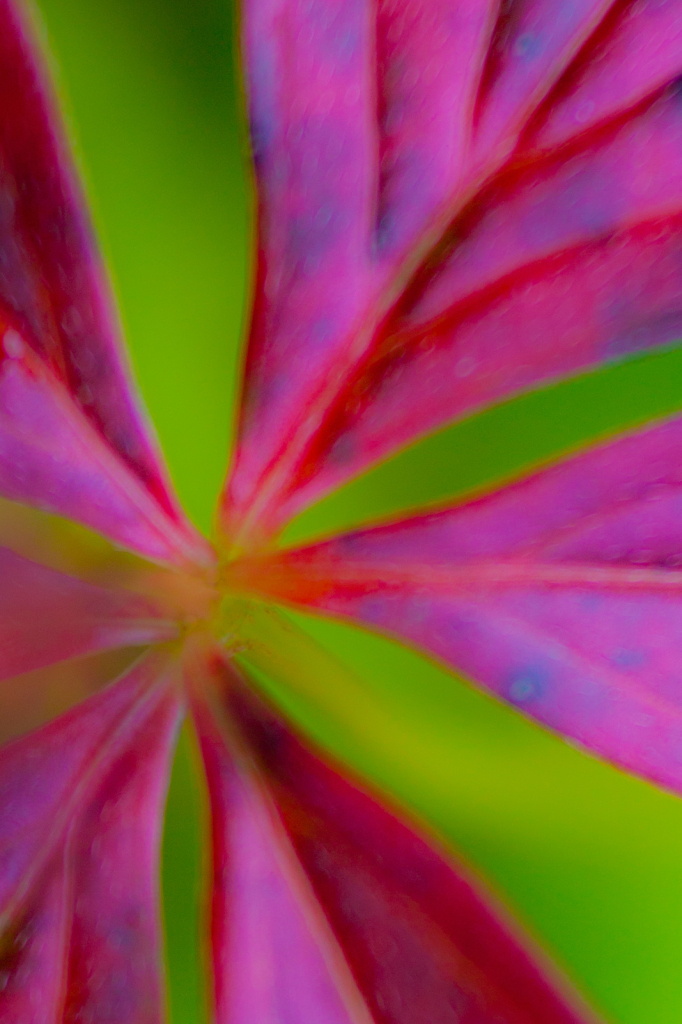 Abstract