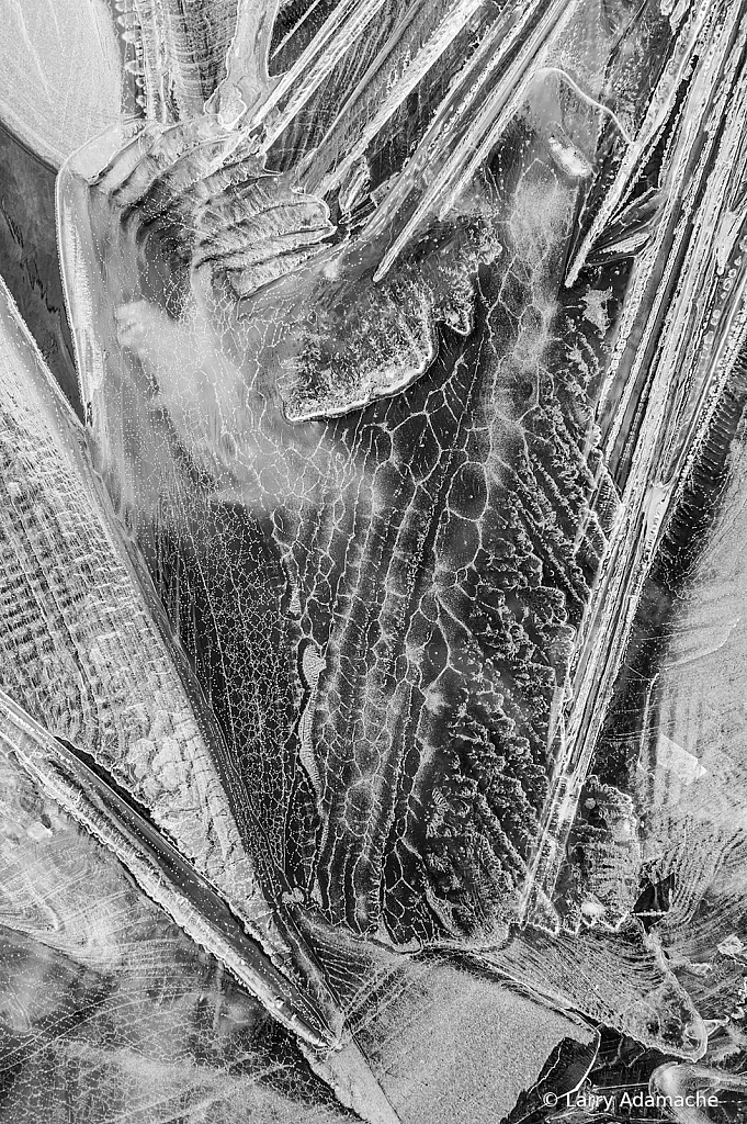 Ice Crystals, 908V6453