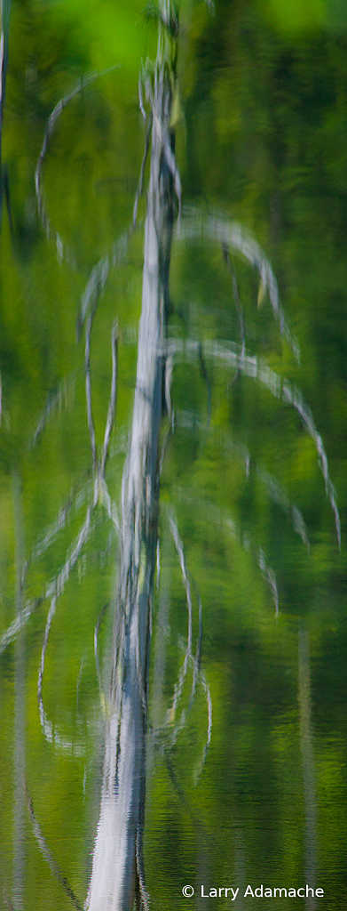 Reflection, 908V7182