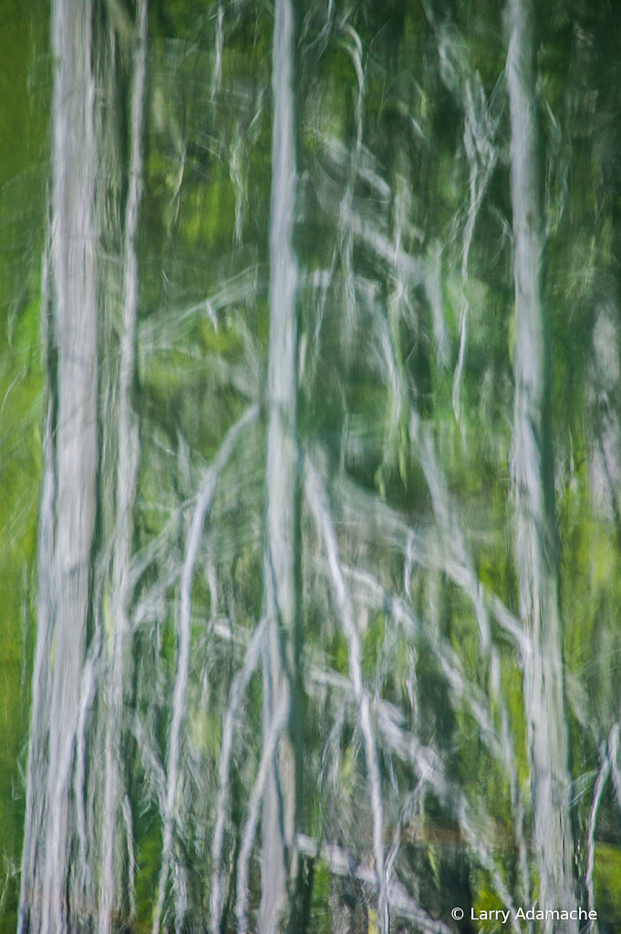 Reflection, 908V7186