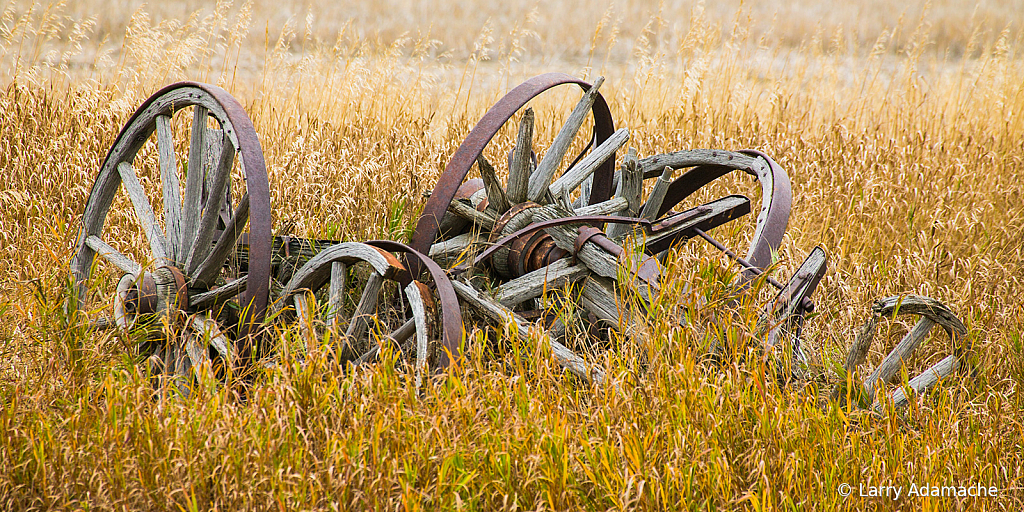 Wagon Remains, 908V7711