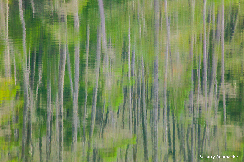 Reflection, 908V8213