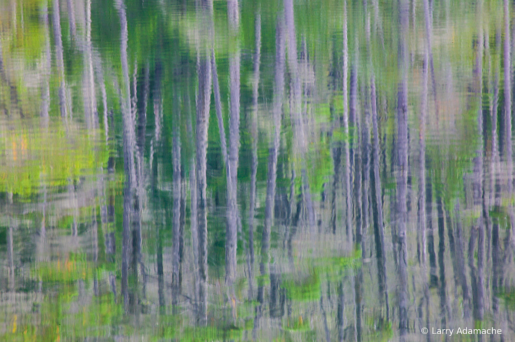 Reflection, 908V8215